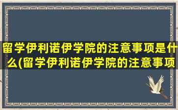 留学伊利诺伊学院的注意事项是什么(留学伊利诺伊学院的注意事项)