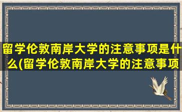 留学伦敦南岸大学的注意事项是什么(留学伦敦南岸大学的注意事项)