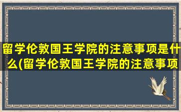 留学伦敦国王学院的注意事项是什么(留学伦敦国王学院的注意事项)