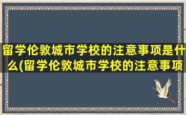 留学伦敦城市学校的注意事项是什么(留学伦敦城市学校的注意事项)