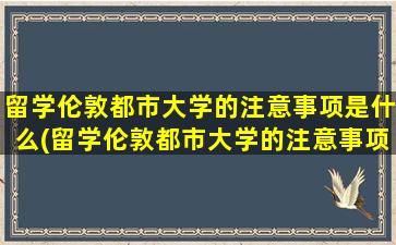 留学伦敦都市大学的注意事项是什么(留学伦敦都市大学的注意事项)