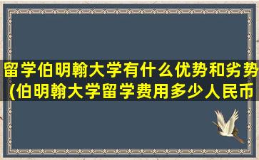 留学伯明翰大学有什么优势和劣势(伯明翰大学留学费用多少人民币)