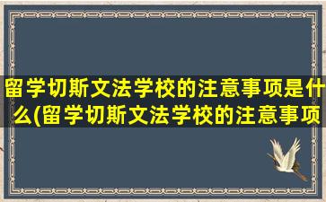 留学切斯文法学校的注意事项是什么(留学切斯文法学校的注意事项包括)