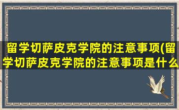 留学切萨皮克学院的注意事项(留学切萨皮克学院的注意事项是什么)