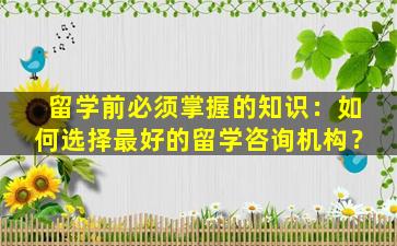 留学前必须掌握的知识：如何选择最好的留学咨询机构？