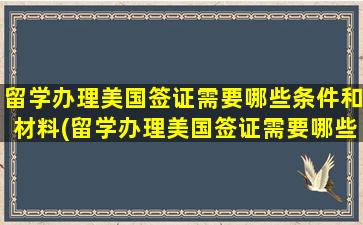 留学办理美国签证需要哪些条件和材料(留学办理美国签证需要哪些条件和手续)