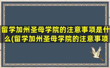 留学加州圣母学院的注意事项是什么(留学加州圣母学院的注意事项)