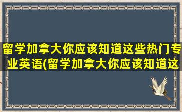 留学加拿大你应该知道这些热门专业英语(留学加拿大你应该知道这些热门专业有哪些)