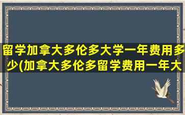 留学加拿大多伦多大学一年费用多少(加拿大多伦多留学费用一年大概多少人民币)