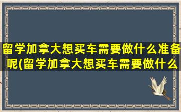 留学加拿大想买车需要做什么准备呢(留学加拿大想买车需要做什么准备材料)