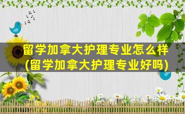 留学加拿大护理专业怎么样(留学加拿大护理专业好吗)