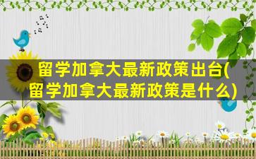 留学加拿大最新政策出台(留学加拿大最新政策是什么)