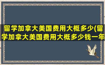 留学加拿大美国费用大概多少(留学加拿大美国费用大概多少钱一年)