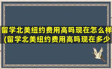 留学北美纽约费用高吗现在怎么样(留学北美纽约费用高吗现在多少)