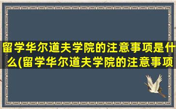 留学华尔道夫学院的注意事项是什么(留学华尔道夫学院的注意事项)