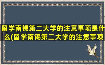 留学南锡第二大学的注意事项是什么(留学南锡第二大学的注意事项)