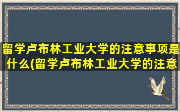 留学卢布林工业大学的注意事项是什么(留学卢布林工业大学的注意事项)