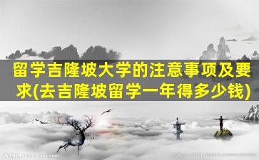 留学吉隆坡大学的注意事项及要求(去吉隆坡留学一年得多少钱)