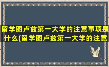 留学图卢兹第一大学的注意事项是什么(留学图卢兹第一大学的注意事项)