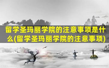 留学圣玛丽学院的注意事项是什么(留学圣玛丽学院的注意事项)