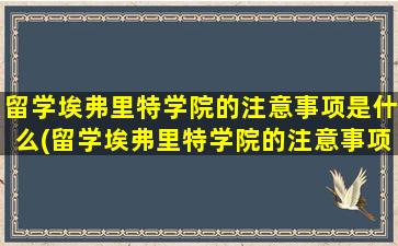 留学埃弗里特学院的注意事项是什么(留学埃弗里特学院的注意事项)