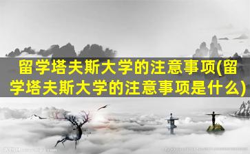 留学塔夫斯大学的注意事项(留学塔夫斯大学的注意事项是什么)