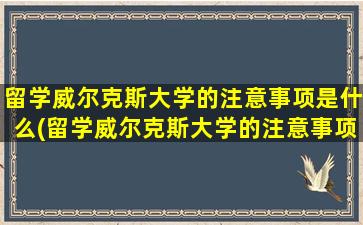 留学威尔克斯大学的注意事项是什么(留学威尔克斯大学的注意事项)