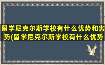 留学尼克尔斯学校有什么优势和劣势(留学尼克尔斯学校有什么优势嘛)