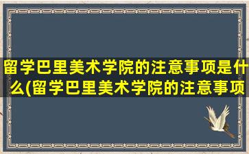 留学巴里美术学院的注意事项是什么(留学巴里美术学院的注意事项)