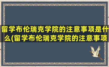 留学布伦瑞克学院的注意事项是什么(留学布伦瑞克学院的注意事项)