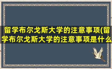 留学布尔戈斯大学的注意事项(留学布尔戈斯大学的注意事项是什么)