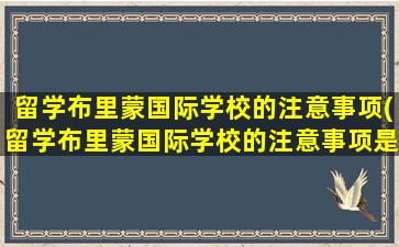 留学布里蒙国际学校的注意事项(留学布里蒙国际学校的注意事项是什么)