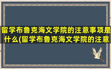 留学布鲁克海文学院的注意事项是什么(留学布鲁克海文学院的注意事项)