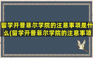 留学开普菲尔学院的注意事项是什么(留学开普菲尔学院的注意事项)