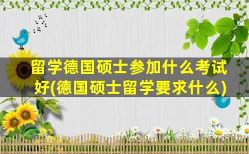 留学德国硕士参加什么考试好(德国硕士留学要求什么)