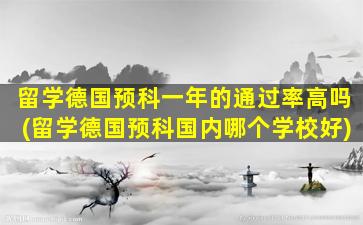 留学德国预科一年的通过率高吗(留学德国预科国内哪个学校好)