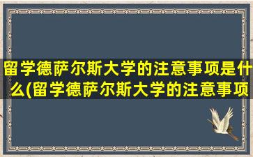 留学德萨尔斯大学的注意事项是什么(留学德萨尔斯大学的注意事项)