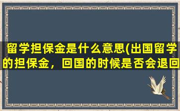 留学担保金是什么意思(出国留学的担保金，回国的时候是否会退回)