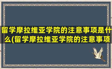 留学摩拉维亚学院的注意事项是什么(留学摩拉维亚学院的注意事项)