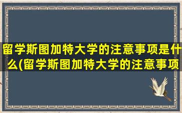 留学斯图加特大学的注意事项是什么(留学斯图加特大学的注意事项)