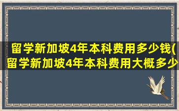 留学新加坡4年本科费用多少钱(留学新加坡4年本科费用大概多少)