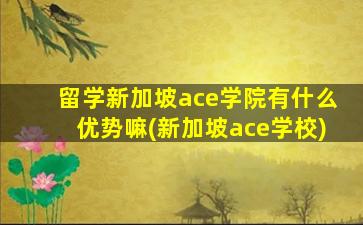 留学新加坡ace学院有什么优势嘛(新加坡ace学校)