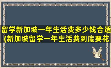 留学新加坡一年生活费多少钱合适(新加坡留学一年生活费到底要花多少钱)