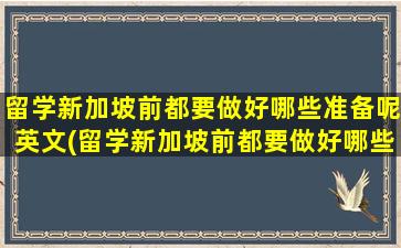 留学新加坡前都要做好哪些准备呢英文(留学新加坡前都要做好哪些准备呢知乎)