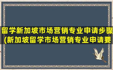 留学新加坡市场营销专业申请步骤(新加坡留学市场营销专业申请要求)