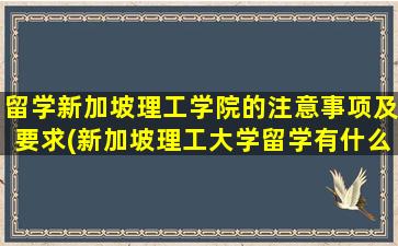 留学新加坡理工学院的注意事项及要求(新加坡理工大学留学有什么要求)