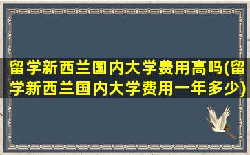 留学新西兰国内大学费用高吗(留学新西兰国内大学费用一年多少)