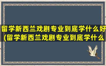 留学新西兰戏剧专业到底学什么好(留学新西兰戏剧专业到底学什么课程)