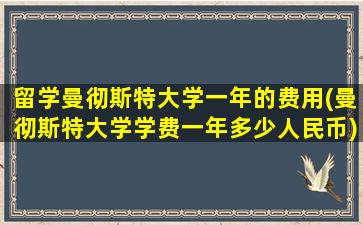 留学曼彻斯特大学一年的费用(曼彻斯特大学学费一年多少人民币)