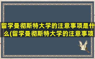 留学曼彻斯特大学的注意事项是什么(留学曼彻斯特大学的注意事项)